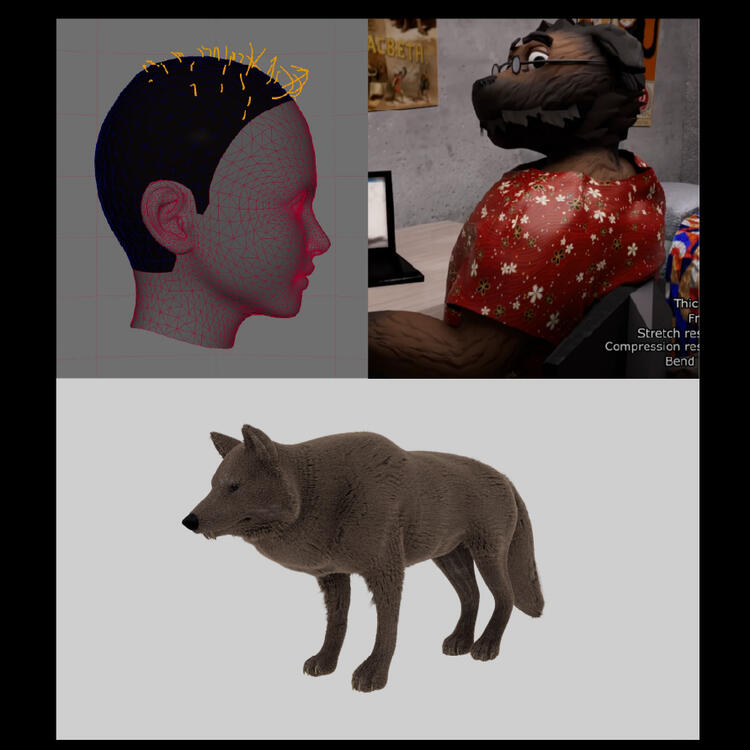 Simulation of Hair, Fur, and Cloth